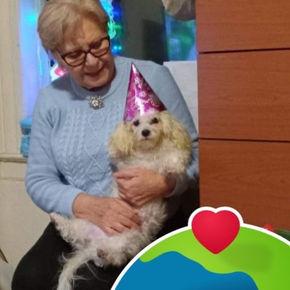 Meet your Posher, Jamaika - Picture 1 of 1